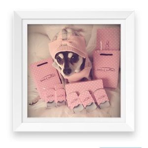 Meet your Posher, H.K.